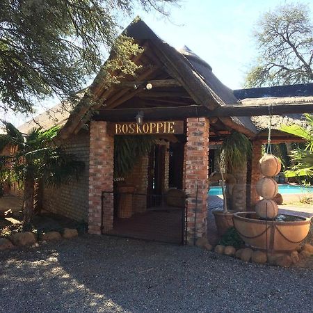 Boskoppie Lion & Tiger Reserve Kroonstad Esterno foto