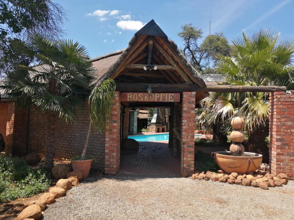 Boskoppie Lion & Tiger Reserve Kroonstad Esterno foto