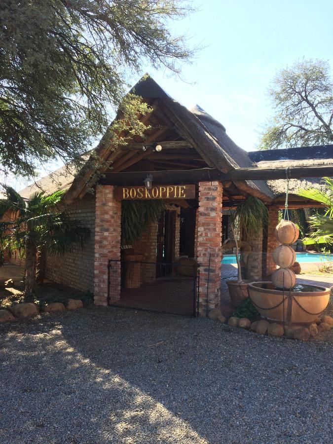 Boskoppie Lion & Tiger Reserve Kroonstad Esterno foto